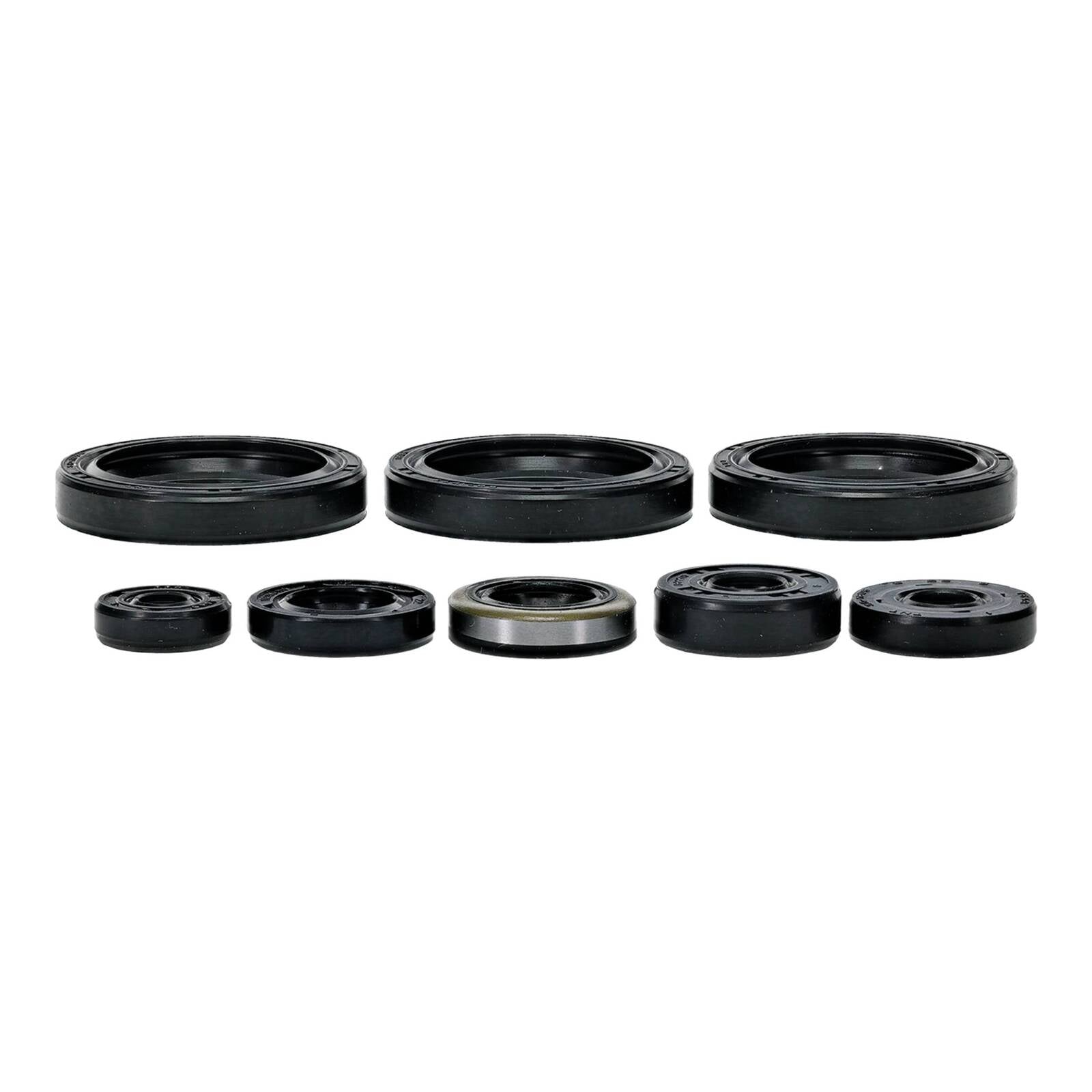 Oil Seal Kit 822403