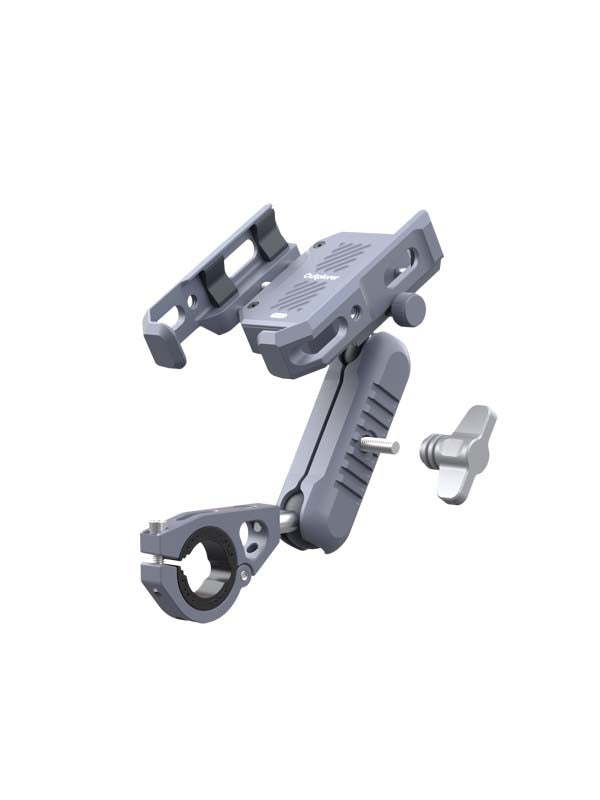 P100-C (11)