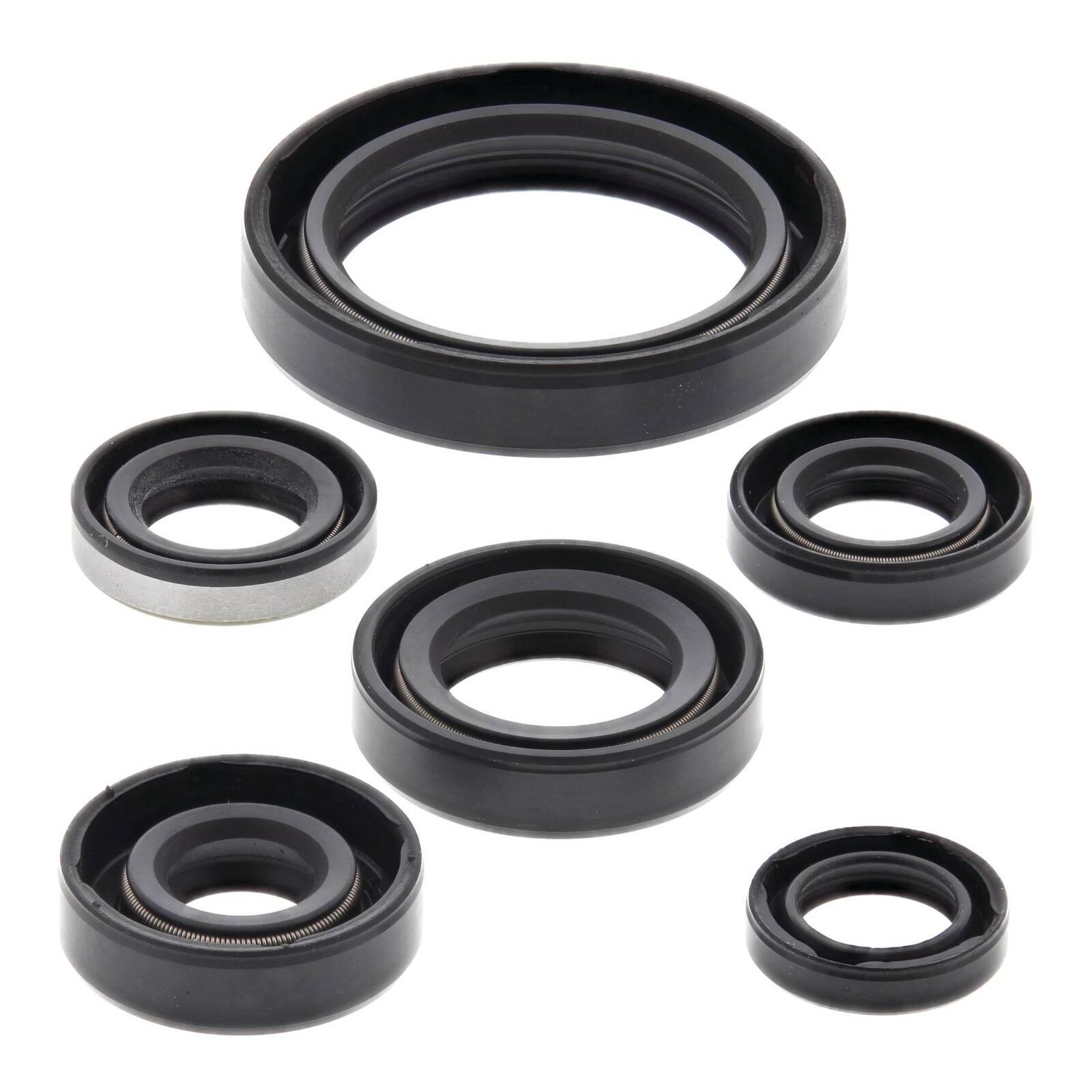 Oil Seal Kit 822137