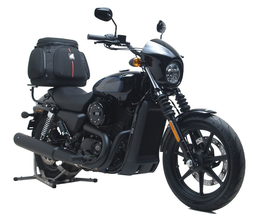 Harley Davidson Street 500 (17-18)