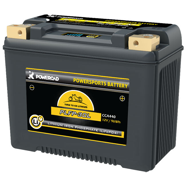 PLFP-30L Lithium Iron 440CCA 20-30Ah Battery