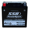 MOTORCYCLE AND POWERSPORTS BATTERY (YTX14-BS) AGM 12V 12AH 290CCA SSB HIGH PERFORMANCE