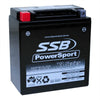 MOTORCYCLE AND POWERSPORTS BATTERY (YTX16-BS) AGM 12V 14AH 340CCA BY SSB HIGH PERFORMANCE